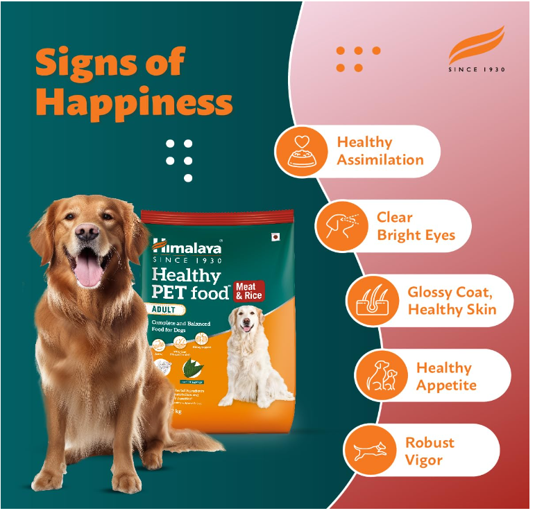 Himalaya Healthy Powder Pet Food, Meat & Rice, Adult Dog, 10 Kg (10000 Gram) Brand: Himalaya - Image 2